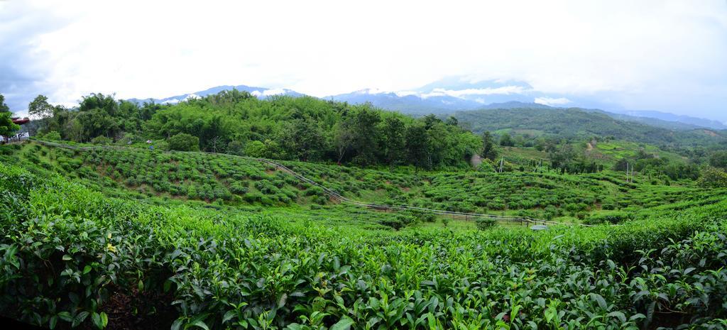 Sabah Tea Resort راناوْ المظهر الخارجي الصورة