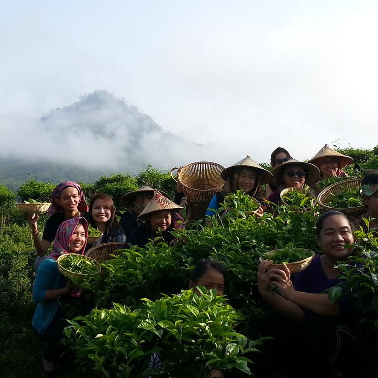 Sabah Tea Resort راناوْ المظهر الخارجي الصورة