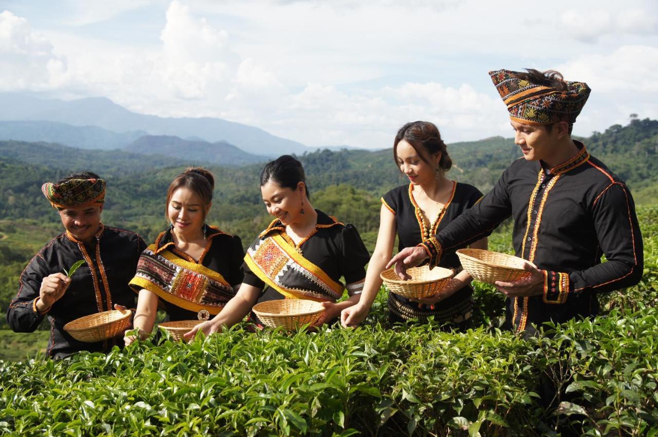 Sabah Tea Resort راناوْ المظهر الخارجي الصورة
