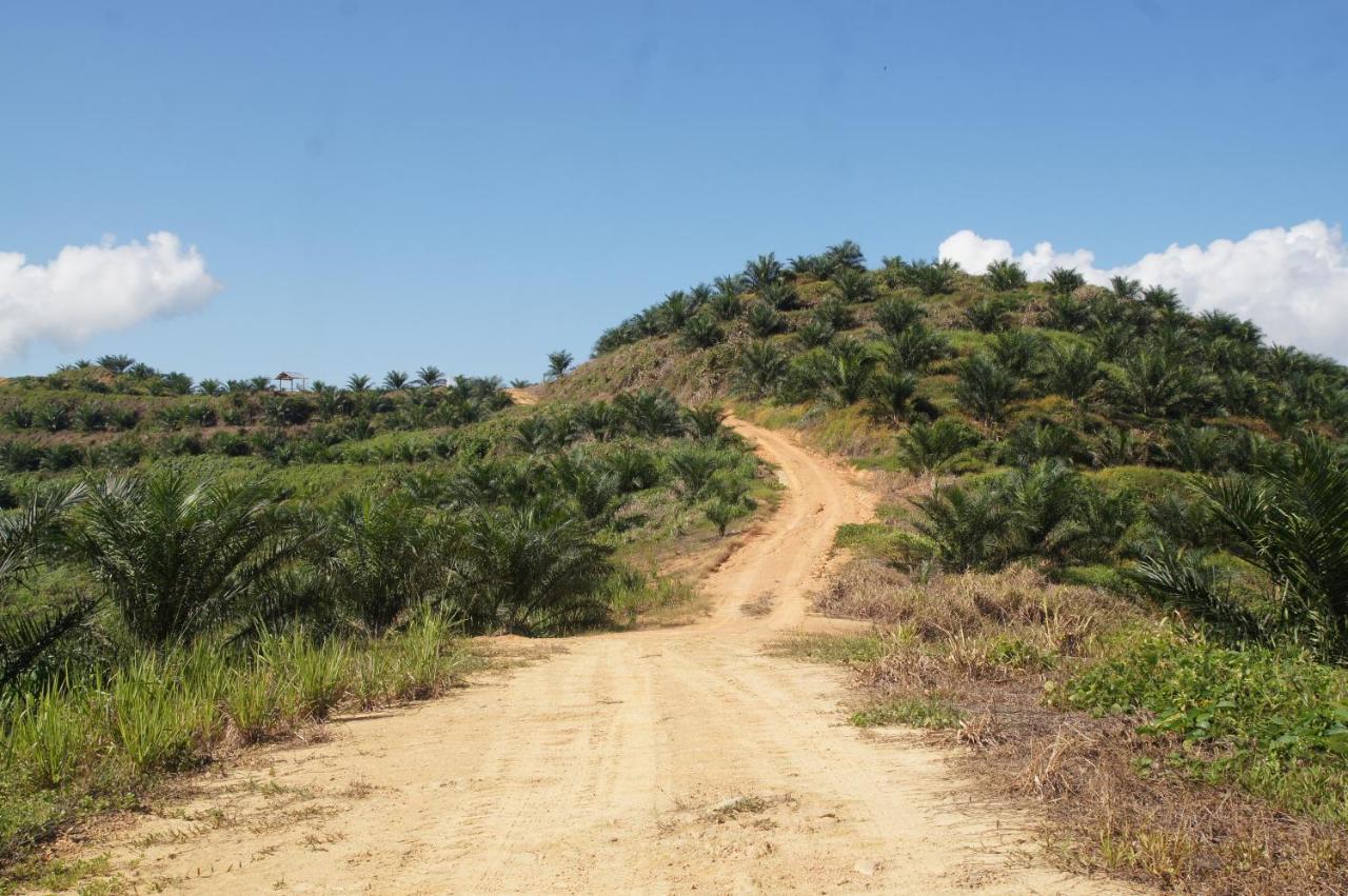 Sabah Tea Resort راناوْ المظهر الخارجي الصورة