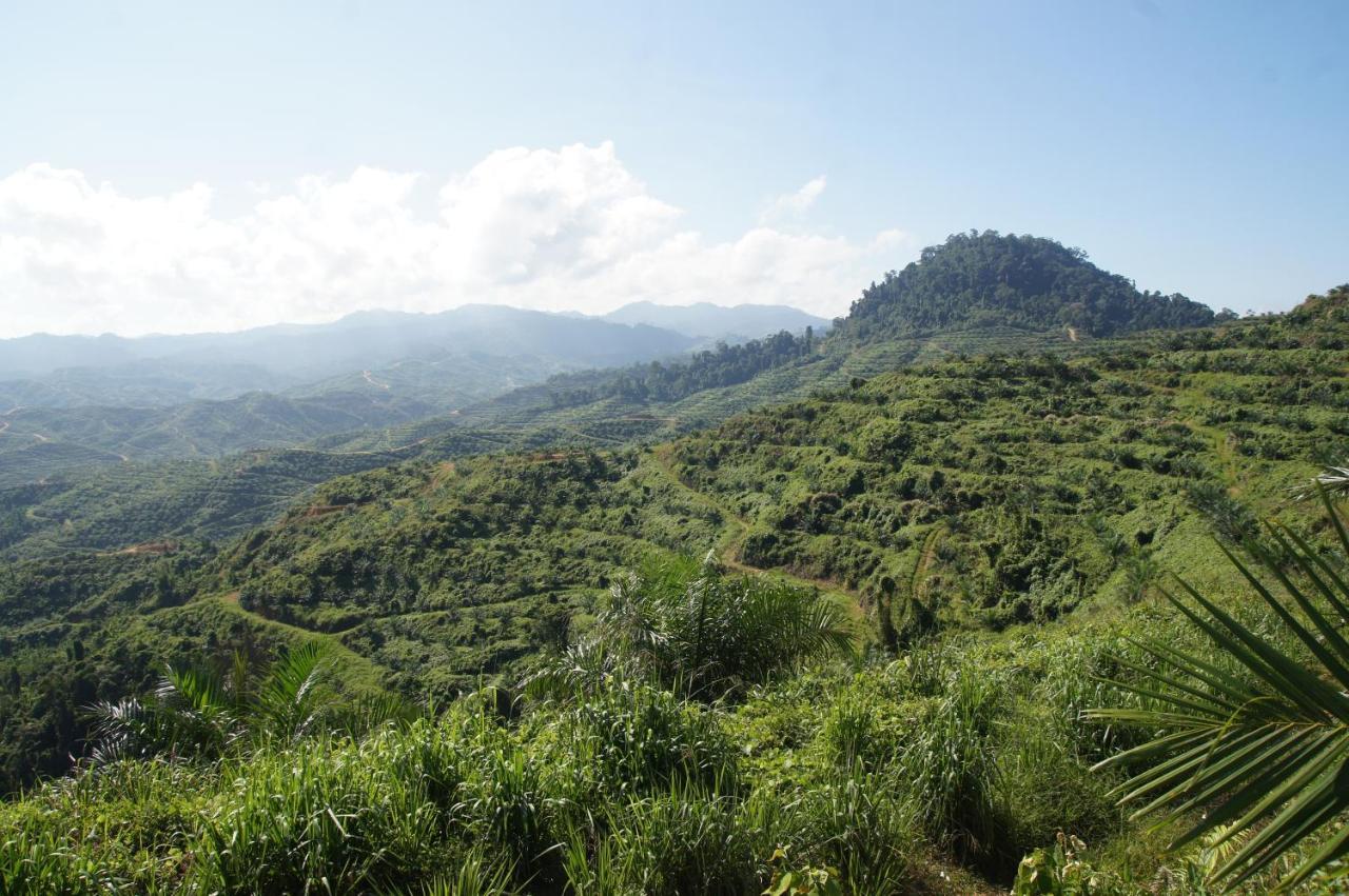 Sabah Tea Resort راناوْ المظهر الخارجي الصورة